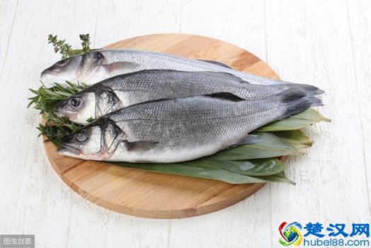  鲈鱼产于哪里（鲈鱼产地在哪）