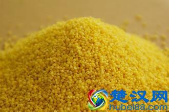  粗粮有哪些（10种粗粮营养高 多吃反伤身损健康）