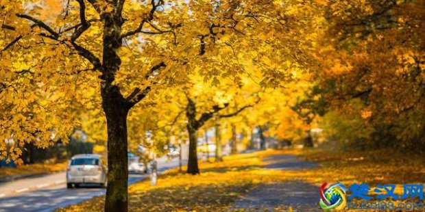  阳光保险怎么样（阳光保险的重疾险值得买吗）