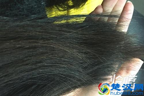  沙宣洗发水怎么样（清扬多芬沙宣欧莱雅施华蔻等10大洗发水比较）