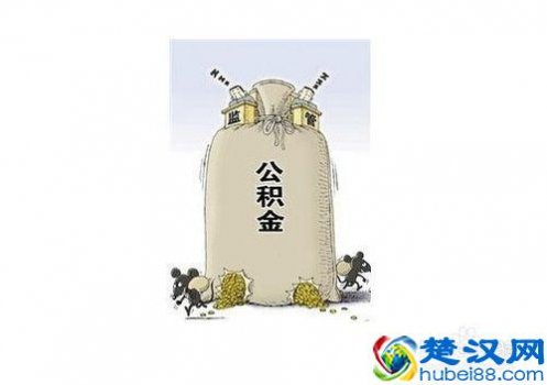 深圳公积金查询电话多少?深圳公积金个人账户快速查询入口