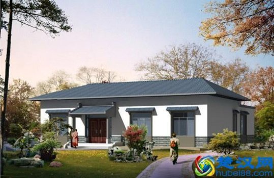 农村平房设计图及效果图(农村20万建别墅)
