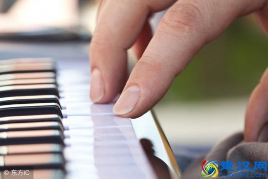  电子琴入门简谱流行曲，教你轻松入门