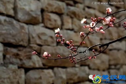  天然文化石多少钱一方？天然文化石有辐射吗