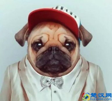  金瓶梅是什么（金瓶梅为什么会成为禁书）