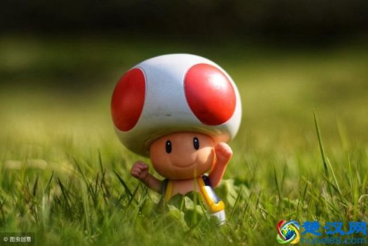  什么是副词、动词、名词、形容词区别在哪里