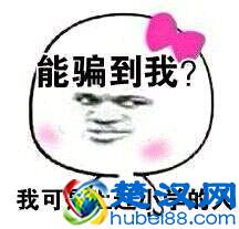  sat是什么意思（sat中文是什么意思）