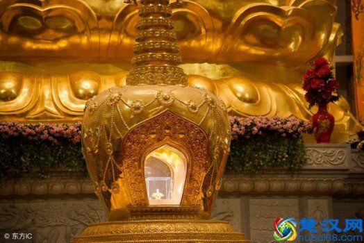 舍利子到底是什么物质(舍利子怎么形成的)