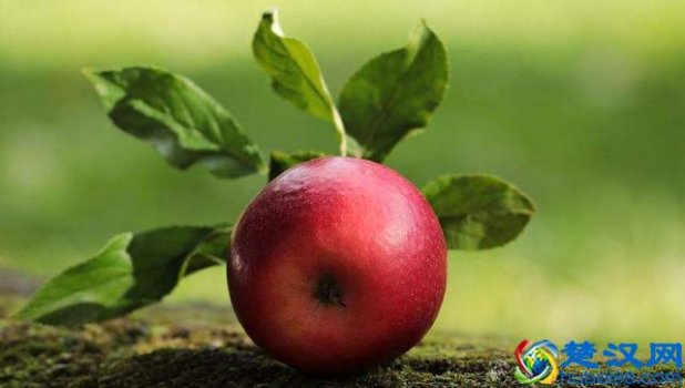 什么时候吃苹果最好(最苹果最佳的时间段)