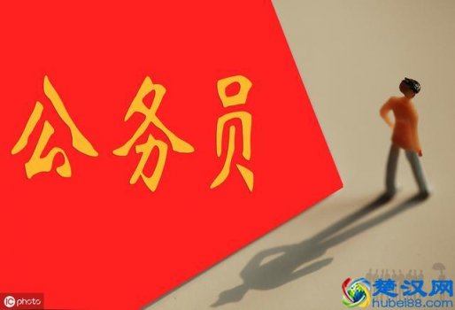  什么是公务员（公务员主要是做什么）