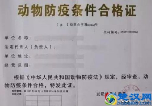 养殖要办理什么手续(开办养殖场需要办哪些证)