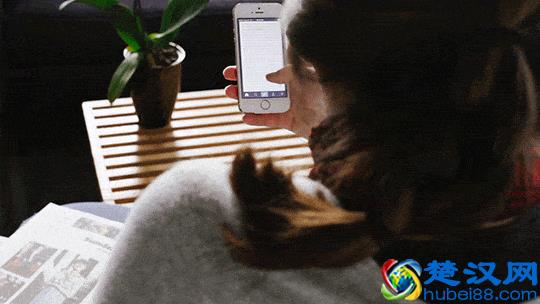 bbs论坛是什么意思(论坛的含义)