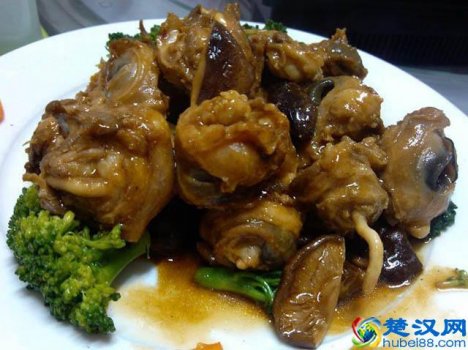  为什么会说广东人什么都吃（真的是重口味）