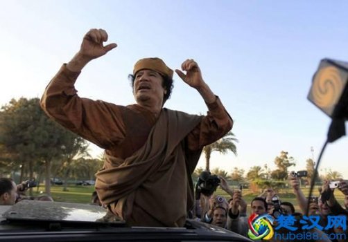  卡扎菲为什么被推翻（真相大揭秘）