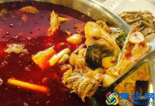  鱼火锅都用的什么鱼（哪个地方的鱼火锅最好吃）