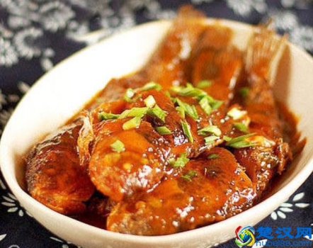 鱼情未了是什么鱼(鱼情未了是什么意思)