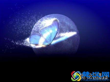  什么是蝴蝶效应（实际中真的存在吗）