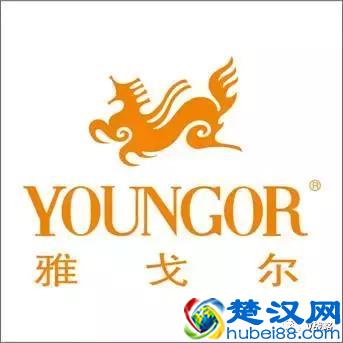  森达皮鞋怎么样（森达属于什么档次的鞋）