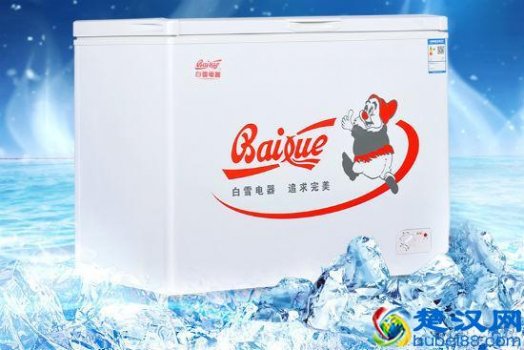  白雪冰柜怎么样（国产冰柜十大排名）