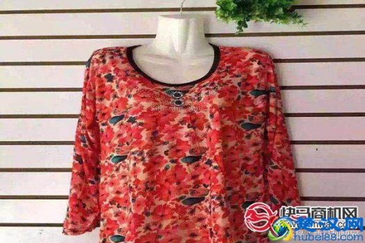  在农村镇上两万开什么店好（乡镇适合开2元店吗）