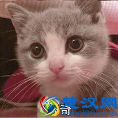  微信删除数据恢复软件有哪些（三个免费微信恢复聊天记录方法）