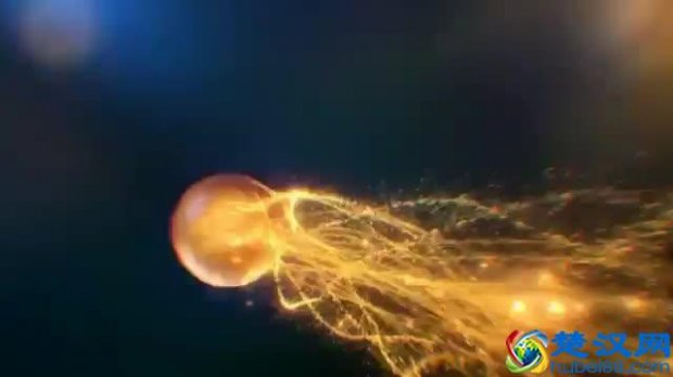  葡萄牙瑞典经典对决（现场画面让人荡气回肠）