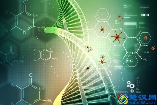  核酸检测是什么意思（新冠肺炎核酸检测假阴性，怎么办）