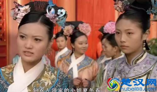  包衣是什么意思（清朝八旗包衣是什么意思）