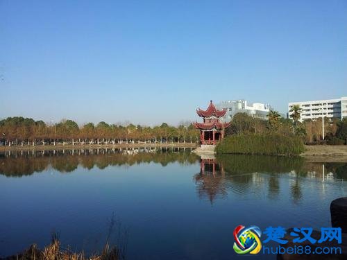 仙桃职业学院是大学吗？专业有哪些？