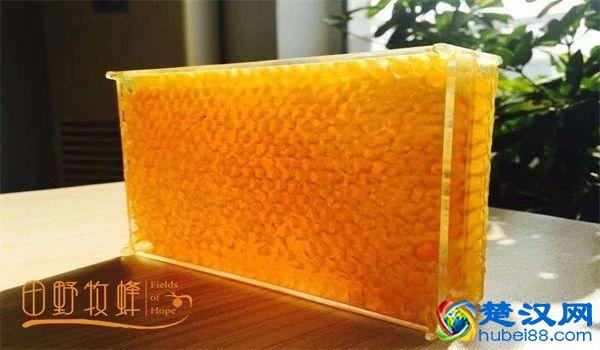 蜂蜜蜡渣能吃吗？蜂巢蜜的蜂蜡怎么吃？