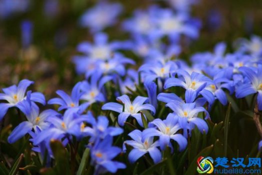  我会永远爱你用英语怎么说(英文爱情4字短句)