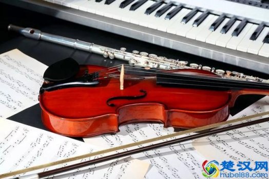  8岁男孩学什么乐器特长好（这十种乐器可培养小朋友气质）