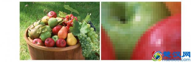  矢量图是什么格式（什么是矢量图？）