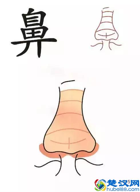 96张识字图汇总，教低年级孩子快速识字！