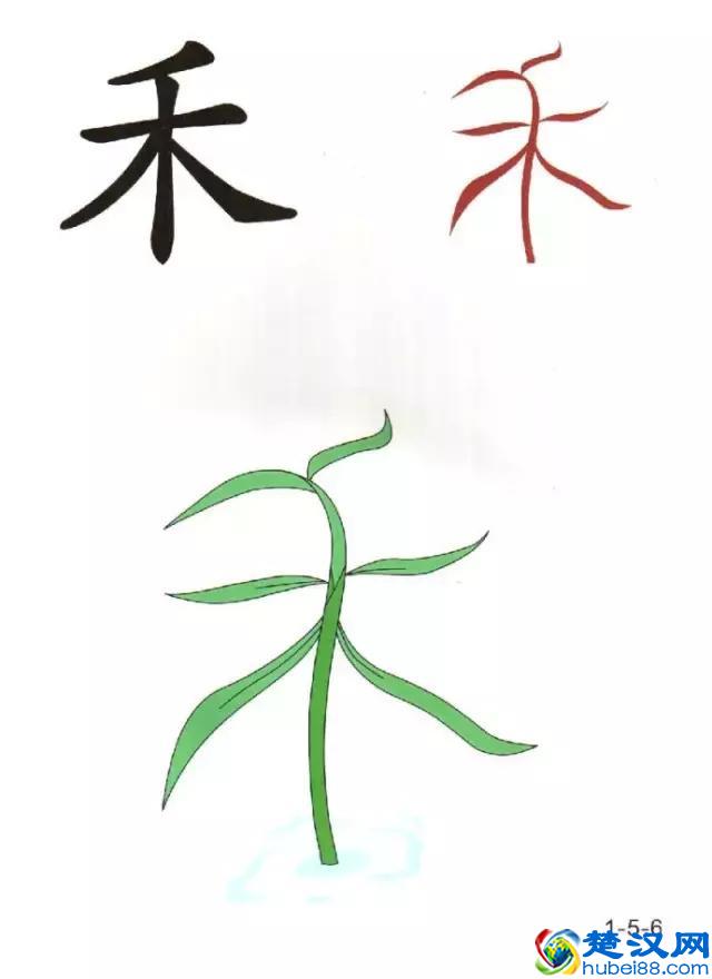 96张识字图汇总，教低年级孩子快速识字！