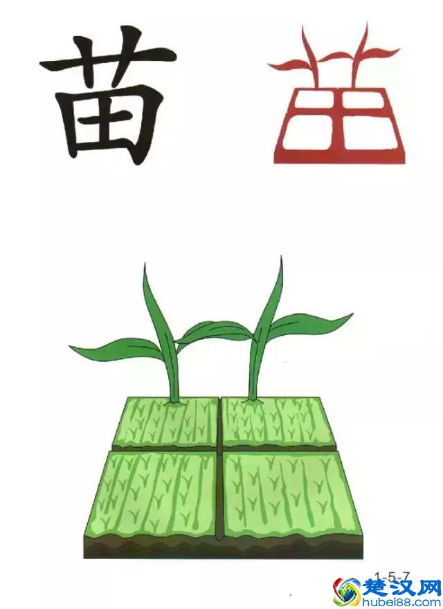 96张识字图汇总，教低年级孩子快速识字！