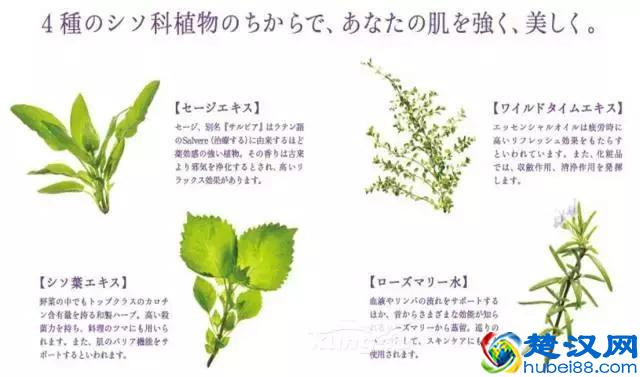 日本备受追捧10大顶级化妆水：化妆水和爽肤水到底有差吗？