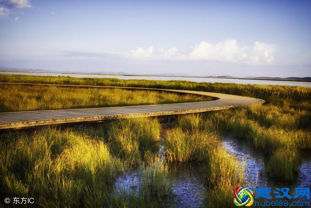 四川最美最大的草原-若尔盖自驾游攻略，干货！