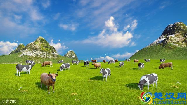 四川最美最大的草原-若尔盖自驾游攻略，干货！