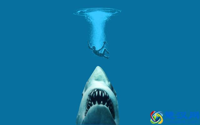鲨鱼是人类心中永远的恐惧，且看关于鲨鱼的十大惊悚电影