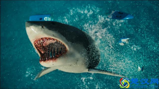 鲨鱼是人类心中永远的恐惧，且看关于鲨鱼的十大惊悚电影