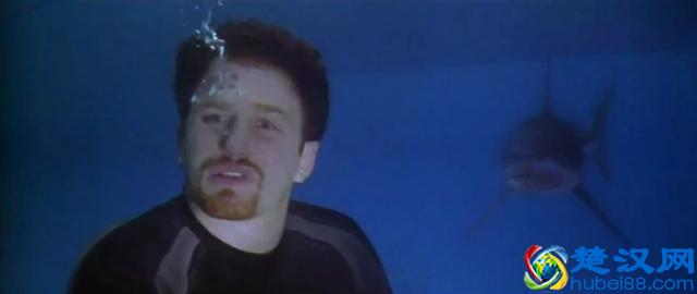 鲨鱼是人类心中永远的恐惧，且看关于鲨鱼的十大惊悚电影