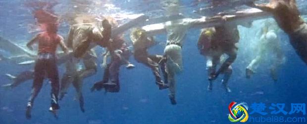 鲨鱼是人类心中永远的恐惧，且看关于鲨鱼的十大惊悚电影