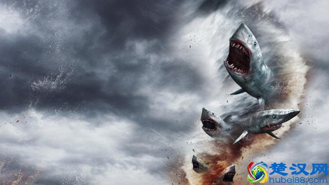 鲨鱼是人类心中永远的恐惧，且看关于鲨鱼的十大惊悚电影