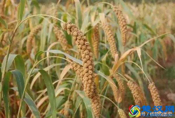 大多数人不知道却非常厉害的10个中国古代发明,最后一个你知道吗