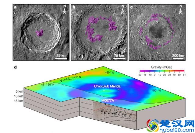 科学家：灭绝恐龙小行星撞击地球一瞬间，曾发生不可思议之事！