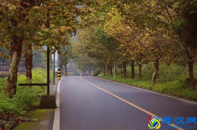 成都花水湾温泉小镇北欧风的度假屋，感受名符其实的天然氧吧